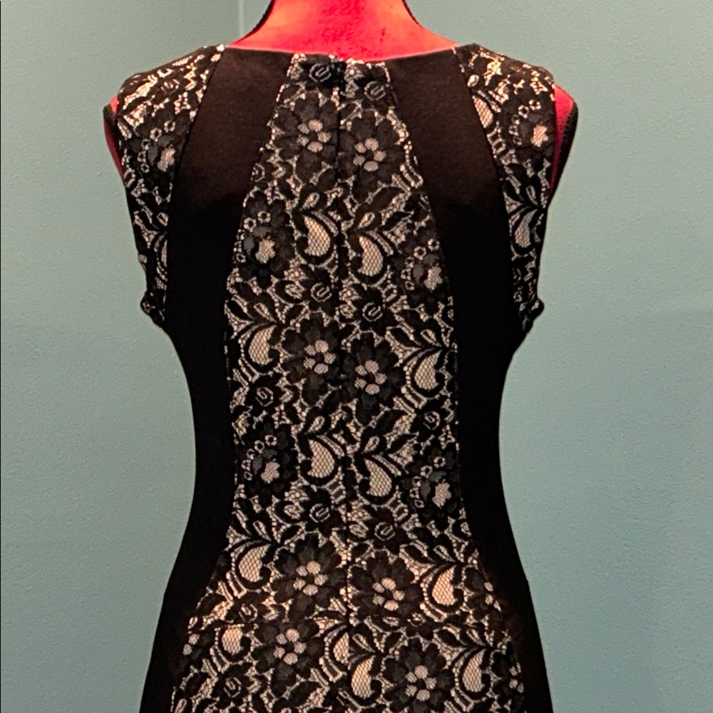 Katherine Barclay Elegant Black and Cream Lace Dress Size 10 - Picture 6 of 15